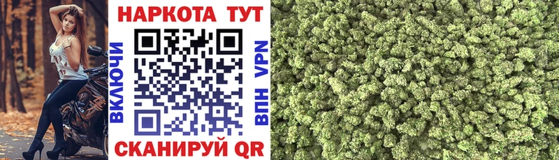 Где найти наркотики Тюмень А ПВП  Мефедрон  Псилоцибиновые грибы  Амфетамин  Кокаин  Конопля 