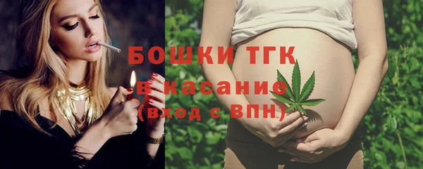 тгк Гусь-Хрустальный