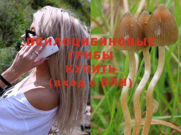 тгк Гусь-Хрустальный