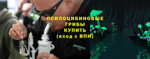 mdpv Гусев