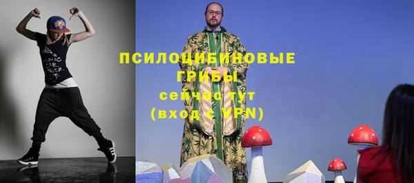 тгк Гусь-Хрустальный