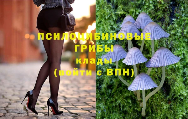 тгк Гусь-Хрустальный