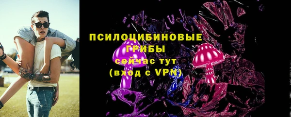 тгк Гусь-Хрустальный