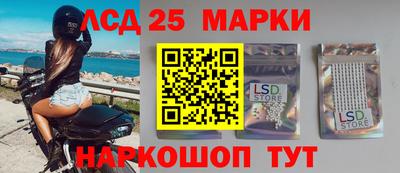 прущие грибы Конаково