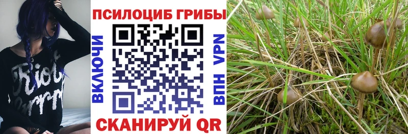 Псилоцибиновые грибы MAGIC MUSHROOMS  blacksprut зеркало  Тюмень 