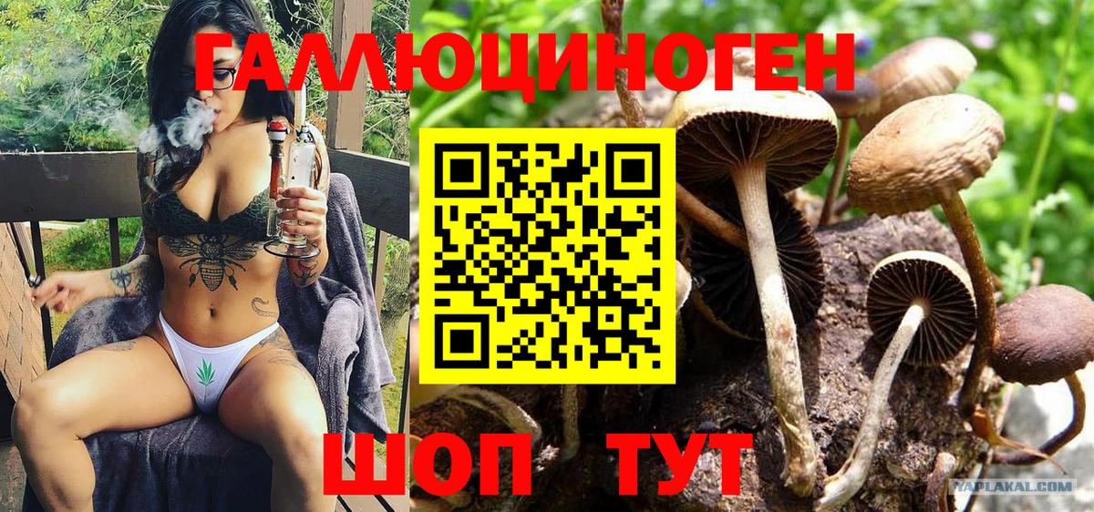 Галлюциногенные грибы мухоморы  Вход с VPN  Тюмень 